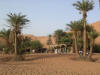 oasis dans le désert marocain
